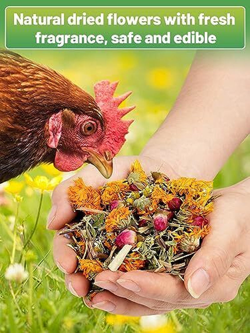 Chicken Nesting Herbs - 7 Oz Natural Nesting Box Herbs in 6 Dried Flower & He...